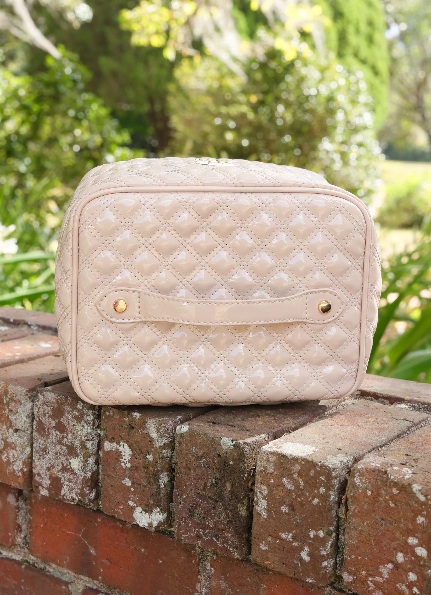 Hampton Train Case - Champagne Pop